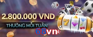 68vn