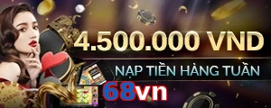 68vn