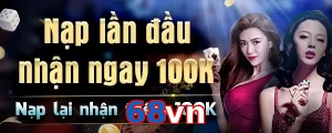 68vn